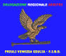 Logo Delegazione arbitri FVG